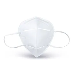 KN95 PM2.5 face mask - mouth mask - antibacterial - nano filter - 5 or 10 piecesMouth masks