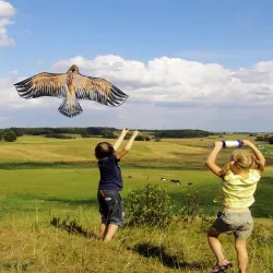 1.1m - Flat eagle kite - kites - kids - toysLatawce