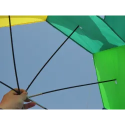 Five-pointed star - colourful kiteKites
