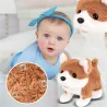 Realistic Teddy Dog - Electric Plush Toy - ChildrenZabawki Pluszowe