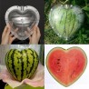 Square - Heart Shape - Watermelon Shaping - MoldKuchnia