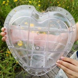 Watermelon Shaping Mold - Heart - SquareKuchnia