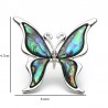 Butterfly with a colored shell - a metal broochBrooches