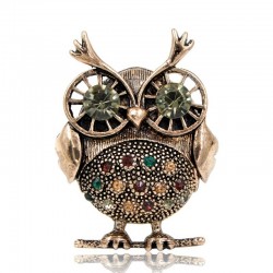 Retro big eyes owl - brooch with crystal decorationsBrooches