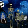 Szkielet człowieka w naturalnej wielkości - ruchomy - Halloweenowa dekoracja - 40cmHalloween & Impreza