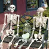 Szkielet człowieka w naturalnej wielkości - ruchomy - Halloweenowa dekoracja - 40cmHalloween & Impreza