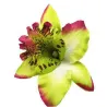 Fashionable hair clip - handmade - flower orchidHair clips