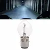 Żarówka motocyklowa LED - biała - 12V - 35W - 10A - B35 / BA20DLED