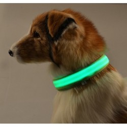 Obroża LED dla psa - świecąca / migająca - bezpieczny nocny spacerObroże & Smycze