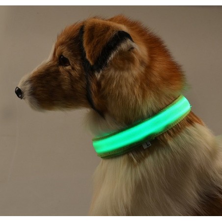 LED dog collar - luminous / flashing - safety night walkCollars & Leads