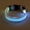 LED dog collar - luminous / flashing - safety night walkCollars & Leads