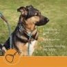 Smycz dla psa - obroża - regulowana pętelka - wytrzymałaObroże & Smycze