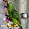 Kolorowy drewniany most zwodzony - zabawka dla ptaków / papugPtaki