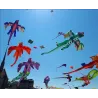 3D flying dragon - kite - 6.5mKites