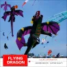 3D flying dragon - kite - 6.5mKites