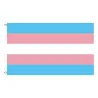 Hanging banner - flag - LGBT / transgender / pansexual / progress / PRIDE / rainbowStickers