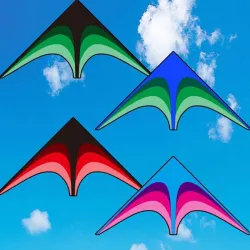 Large delta kite - single line - with handle - easy to flyKites