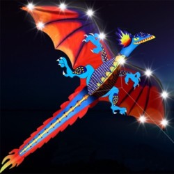 Colorful dragon kite - with LED lightsKites