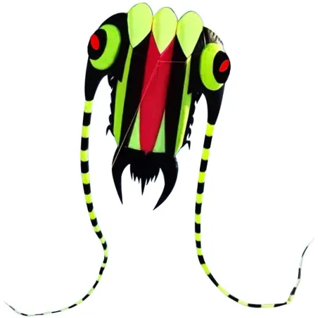Large colorful kite - green trilobiteKites