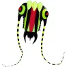 Large colorful kite - green trilobiteKites