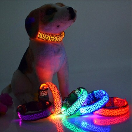 Obroża LED dla psa - bezpieczny nocny spacer - kolorowy wzór w panterkęObroże & Smycze