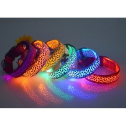 LED dog collar - safety night walk - colorful leopard printCollars & Leads