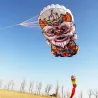 Colorful 3D lion kite - with handle / lineKites