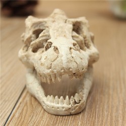 Dekoracja akwarium - czaszka krokodylaDekoracje