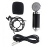 BM 5000 - professional condenser microphone - with circuit control - gold-plated diaphragmMicrophones