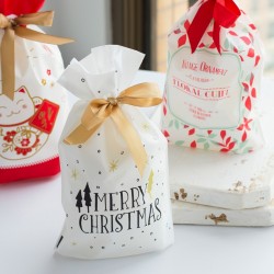 Świąteczne torebki na prezenty ze sznurkiem 10 sztukŚwięta Bożego Narodzenia