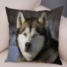 Poszewka dekoracyjna - syberyjski pies husky - 45 * 45 cmPoszewek na poduszki
