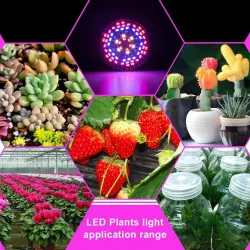 LED bulb - plant grow light - full spectrum - hydroponic - E27 - 10W - 30W - 50W - 80WGrow Lights