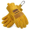 Safety / work gloves - stretchable - wood cutting / gardening - leatherSafety & protection
