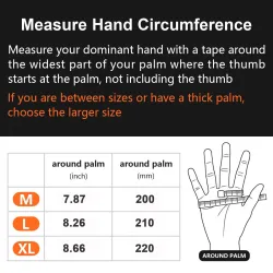 Safety / work gloves - stretchable - wood cutting / gardening - leatherSafety & protection