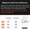 Safety / work gloves - stretchable - wood cutting / gardening - leatherSafety & protection