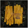 Safety / work gloves - stretchable - wood cutting / gardening - leatherSafety & protection