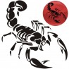 3D scorpion - car stickerStickers