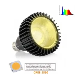 Oświetlenie LED do uprawy roślin - żarówka - pełne spektrum - COB - E27Lampa Wzrostu