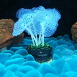 Świecący zawilec morski - dekoracja akwariumDekoracje