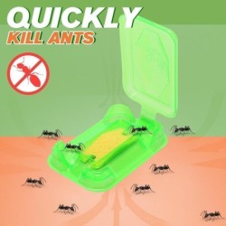 Anti ants bait - killing powderInsect control