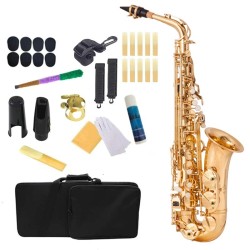 Profesjonalny saksofon - key-Eb Alto - z futerałem / akcesoriamiSaksofon
