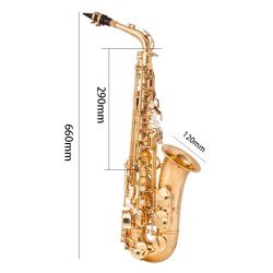 Profesjonalny saksofon - key-Eb Alto - z futerałem / akcesoriamiSaksofon