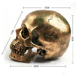 Ludzka czaszka wykonana z żywicy - brązPosągi & Rzeźby