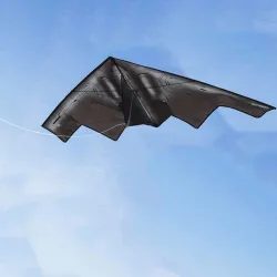Latawiec myśliwski StealthLatawce