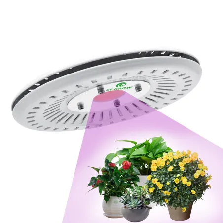 100W COB LED lampa do uprawy - pełne spektrum - hydroponiczna - wodoodporna IP67Lampa Wzrostu