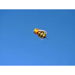 Colorful bee - nylon mite - 3 meterKites