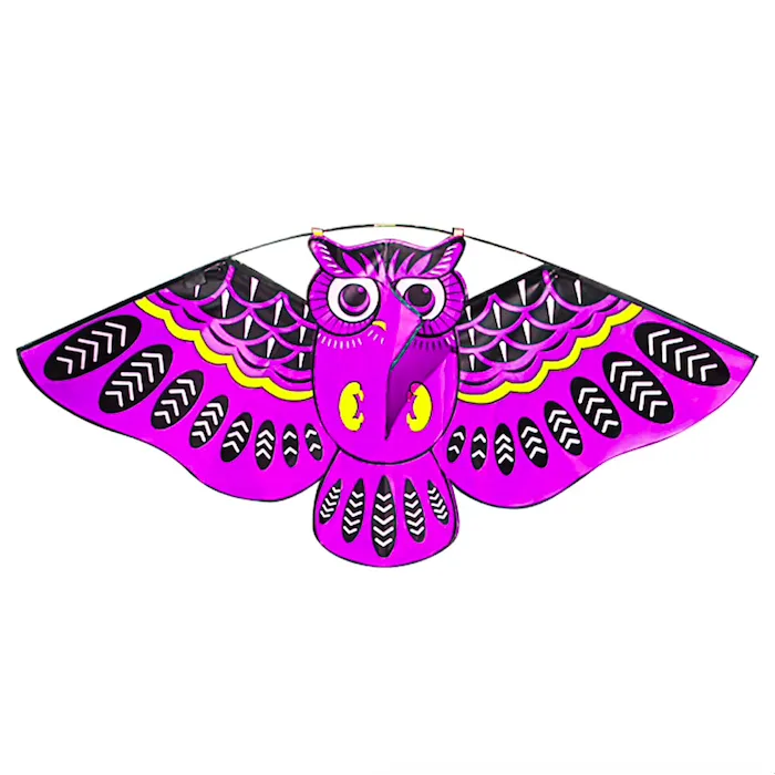 Kolorowa sowa latawiec 110 * 50cmLatawce