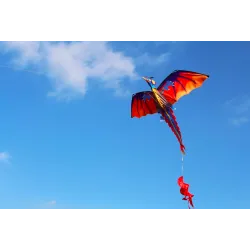 Colorful flying dragon - kite - 140 * 120cmKites
