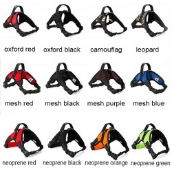 Dog's harness collar lead vestCollars & Leads