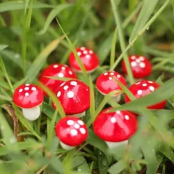 Ogrodowa dekoracja - mini grzybki 2cm 10 sztOgród